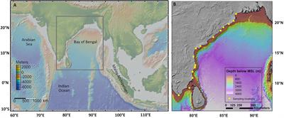 The Distribution Pattern of Marine Bivalve Death Assemblage From the Western Margin of Bay of Bengal and Its Oceanographic Determinants